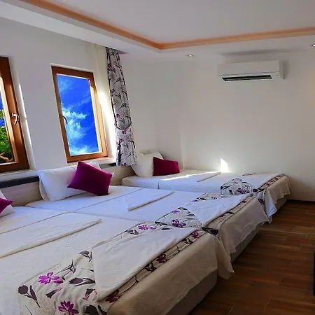 Kleopatra Hermes 3*